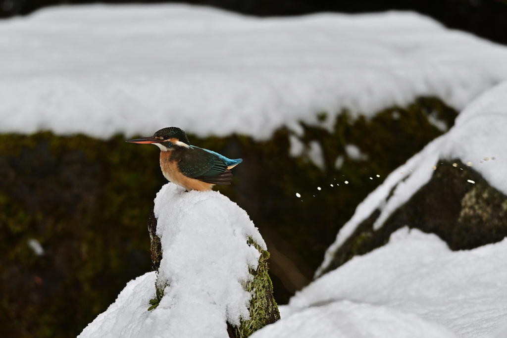 一歩及ばずでした・・・