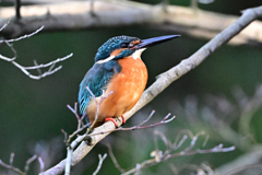 2025-2026翡翠散策_69