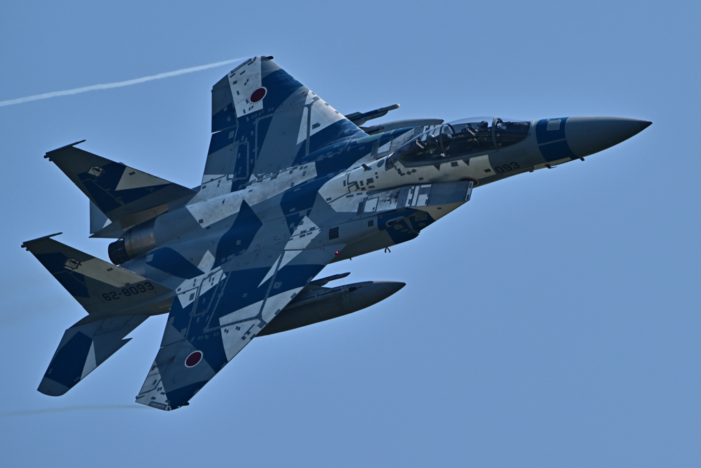 2025AGGRESSOR_82-8093_24