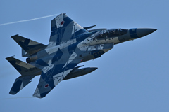 2025AGGRESSOR_82-8093_24