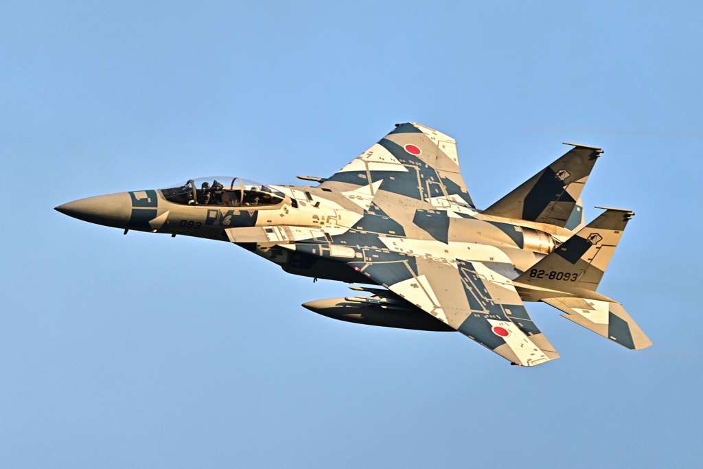 2025AGGRESSOR_82-8093_35