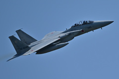 303SQ in KOMATSU F-15_19