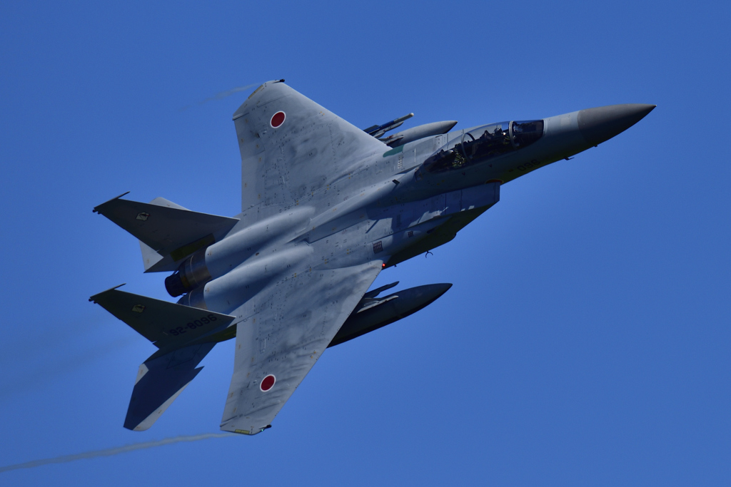 アグレッサー＃９２-８０９６