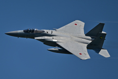 米軍主催訓練”レゾリュート・フォース・パシフィック_18