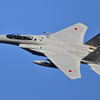 2025AGGRESSOR_32-8084_06