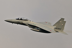 2024AGGRESSOR_82-8093_04