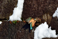雪塊に着地（１）