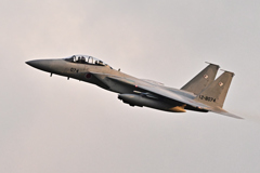 2025AGGRESSOR_12-8074_23