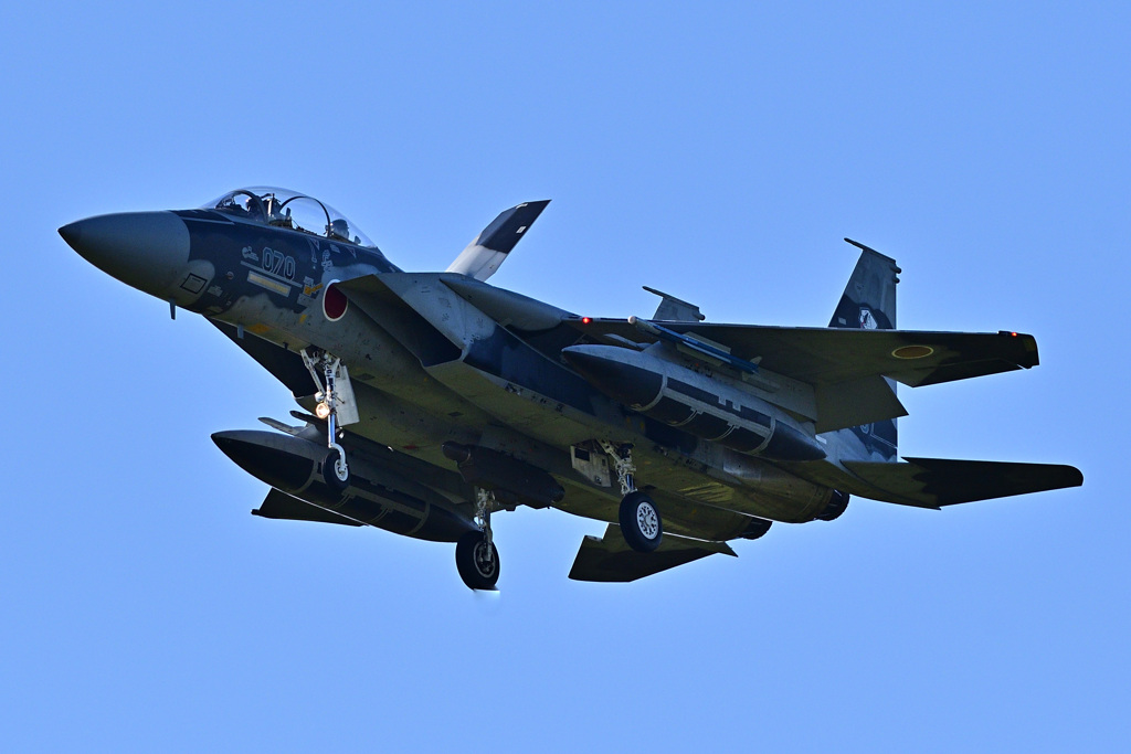 ＲＷ０６アプローチ・アグレッサー_04