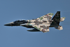 2025AGGRESSOR_32-8084_10