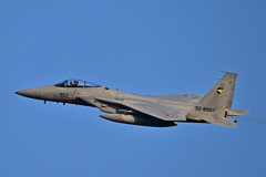 306SQ in KOMATSU F-15_14