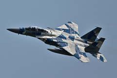 2025AGGRESSOR_82-8093_14