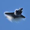 2024三沢基地航空祭～Ｆ-３５Ａ_⑩～