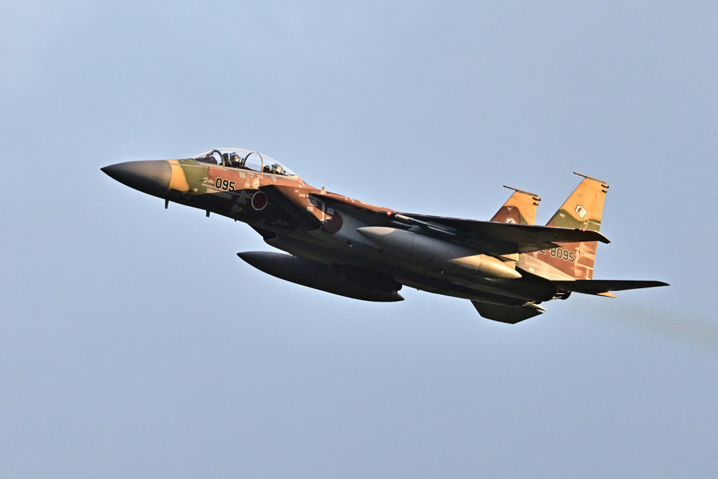 2025AGGRESSOR_92-8095_26