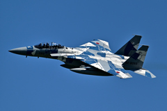2025AGGRESSOR_82-8093_18
