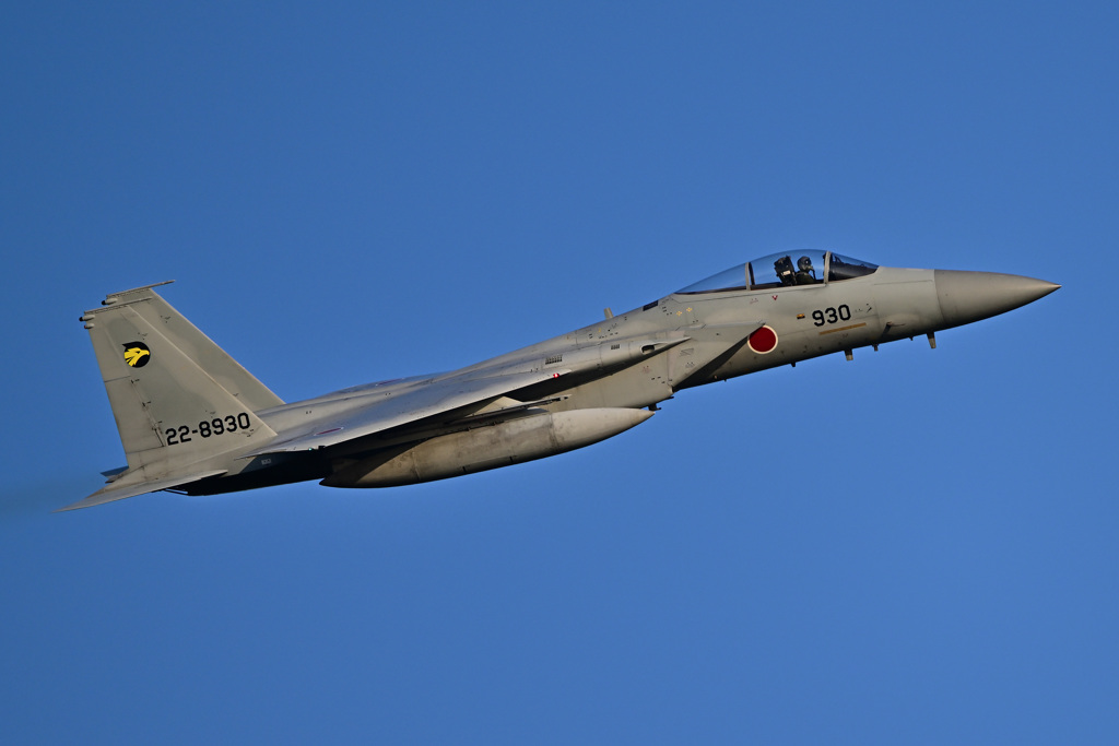 2023ゴールデンイーグル_F-15_18