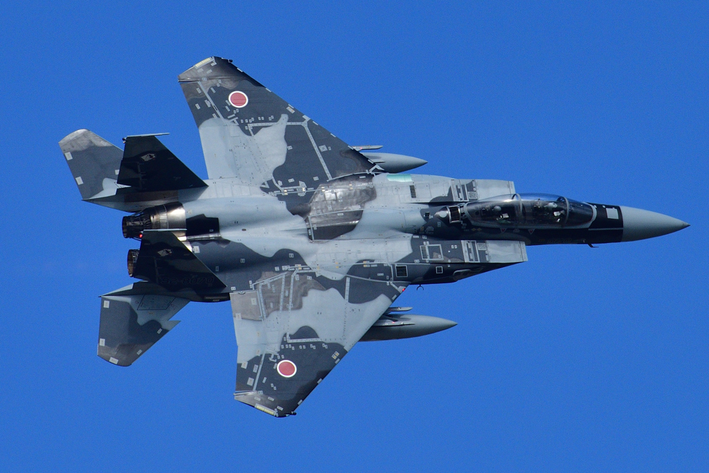 アグレッサー機動飛行～爽快～⑥