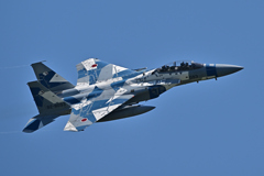 2025AGGRESSOR_82-8093_11