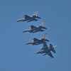 米軍主催訓練”レゾリュート・フォース・パシフィック_11