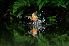 水鏡（２）