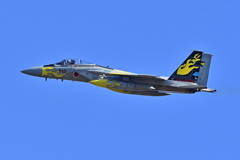 これで最後、３０６飛行隊創設４０周年記念塗装機_11