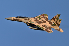 2025AGGRESSOR_32-8084_16
