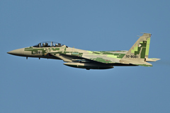 2025AGGRESSOR_32-8081_04