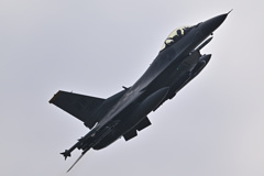 Ｆ-１６ファイティングファルコン_03