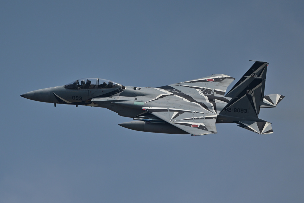 2023AGGRESSOR_82-8093_02