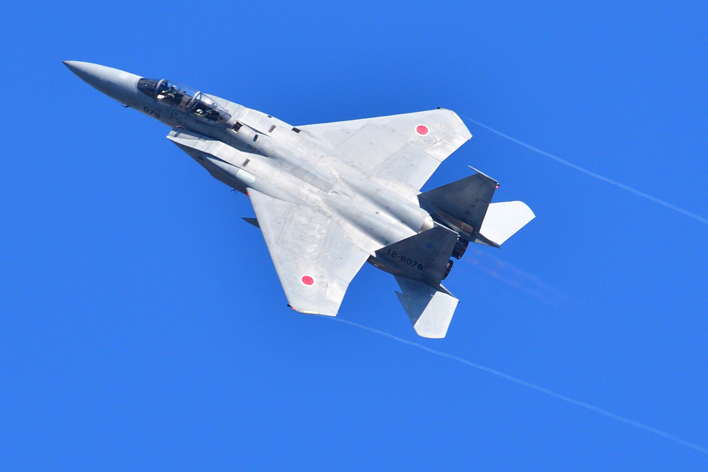 2019岐阜基地航空祭⑳～Ｆ-１５編～