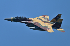 米軍主催訓練”レゾリュート・フォース・パシフィック_31