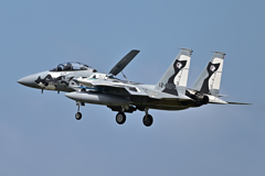 2025AGGRESSOR_12-8074_06