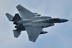 306SQ in KOMATSU F-15_18