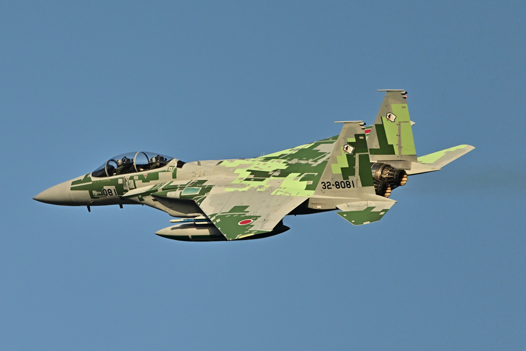 2025AGGRESSOR_32-8081_06