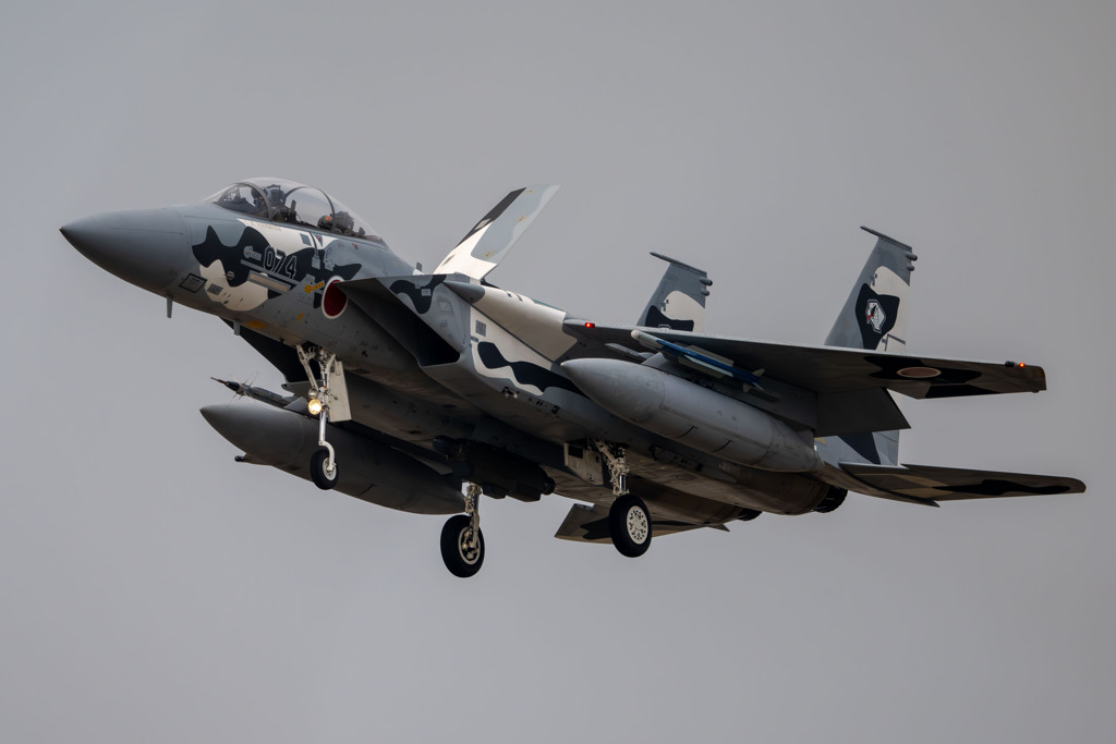 2025AGGRESSOR_12-8074_03