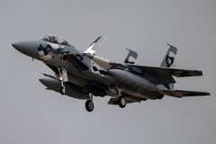 2025AGGRESSOR_12-8074_03