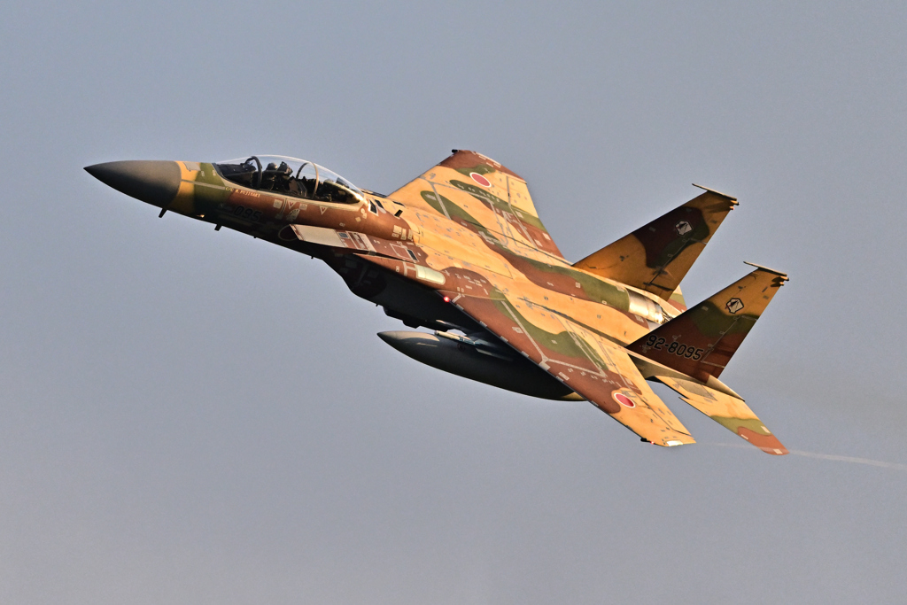 2025AGGRESSOR_92-8095_27