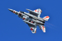 航空祭機動飛行・予行～アグレッサー＃８０８３機～（３）