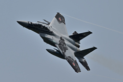 2025AGGRESSOR_82-8092_07