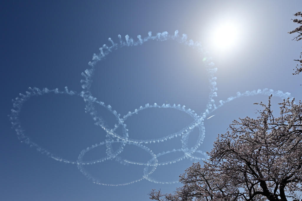 2022_ブルーインパルス_高田城址公園_サクラ