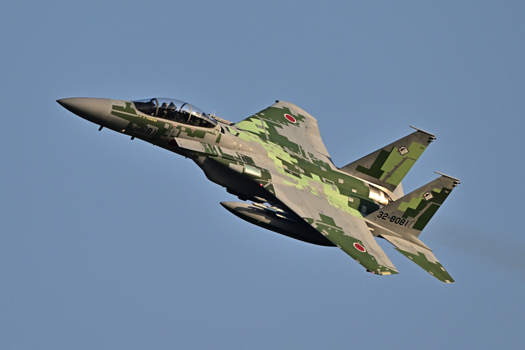 2025AGGRESSOR_32-8081_15