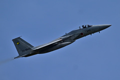 306SQ in KOMATSU F-15_06