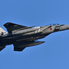 2025AGGRESSOR_12-8074_07