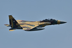 2024AGGRESSOR_92-8095_03