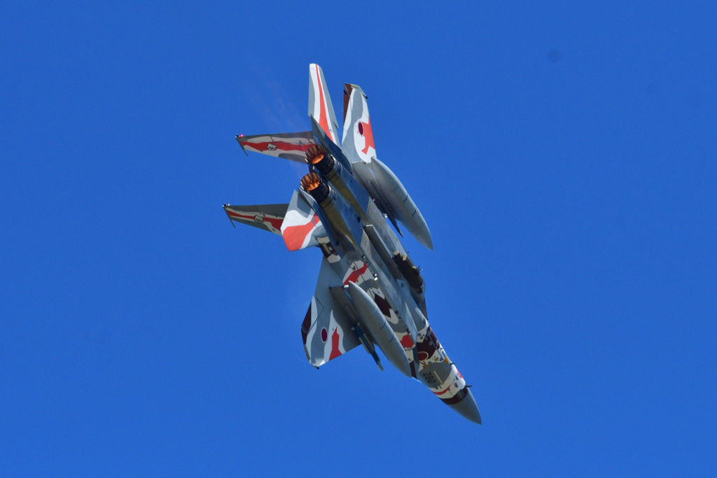 航空祭機動飛行・予行～アグレッサー＃８０８３機～（８）