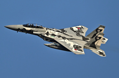 2025AGGRESSOR_12-8074_11
