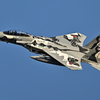 2025AGGRESSOR_12-8074_11