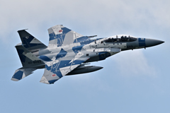 2025AGGRESSOR_82-8093_13