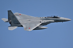 303SQ in KOMATSU F-15_11