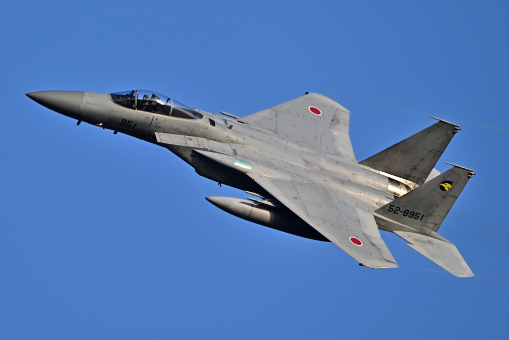 2023ゴールデンイーグル_F-15_08